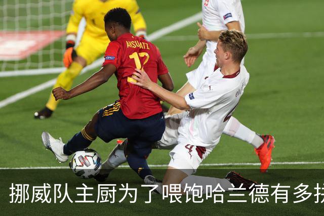 挪威队主厨为了喂饱哈兰德有多拼？他每天要补充6000卡路里热量，进入淘汰赛后球队紧急订购食材